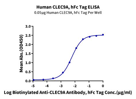 Human Clec A Protein Cle Hm A Kactus