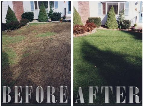 Overseeding Lawns, Overseeding a Lawn, Lawn Seeding