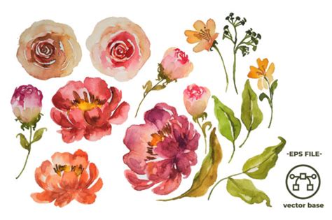 Floral Watercolor Elements Graphic By Ian 2201 · Creative Fabrica