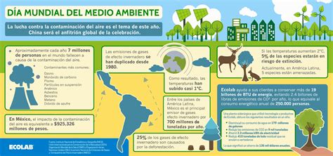 Contaminación Del Aire Una De Las Principales Causas De Muerte En El