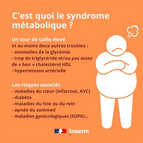 Pour Séviter Un Bide Cest Quoi Le Syndrome Métabolique · Inserm