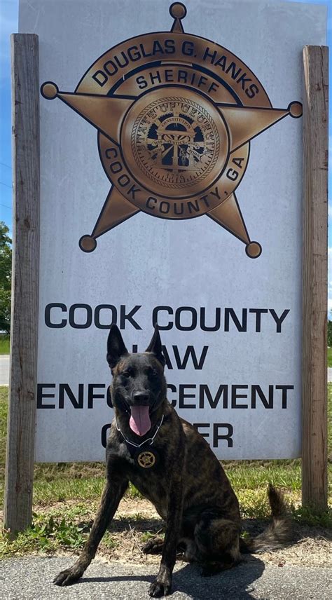 Cook County Sheriffs Office K9 Fievel To Get Donation Of Body Armor