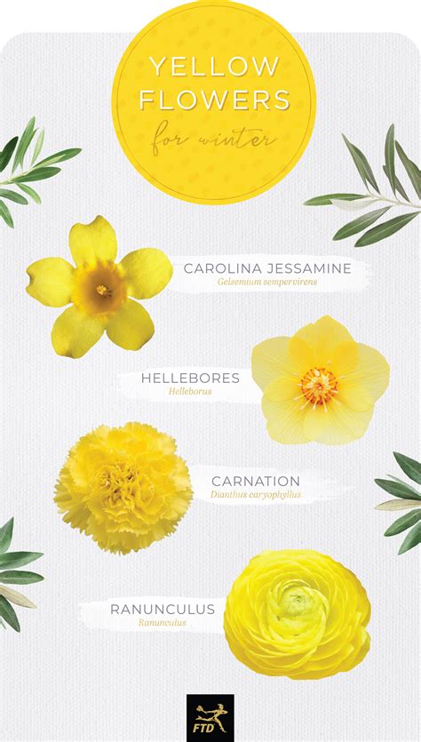 Images Of Yellow Flowers With Names - Infoupdate.org