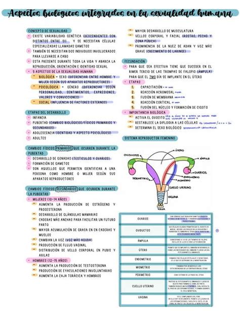 Aspectos Biologicos Integrados En La Sexualidad Humana Valentina Villa Udocz