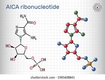 Aica Ribonucleotide Images Stock Photos D Objects Vectors