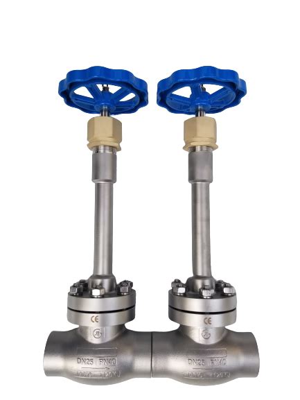 ISO CE Cryogenic 304 316 PN40 Socket Weld Globe Valve For LNG