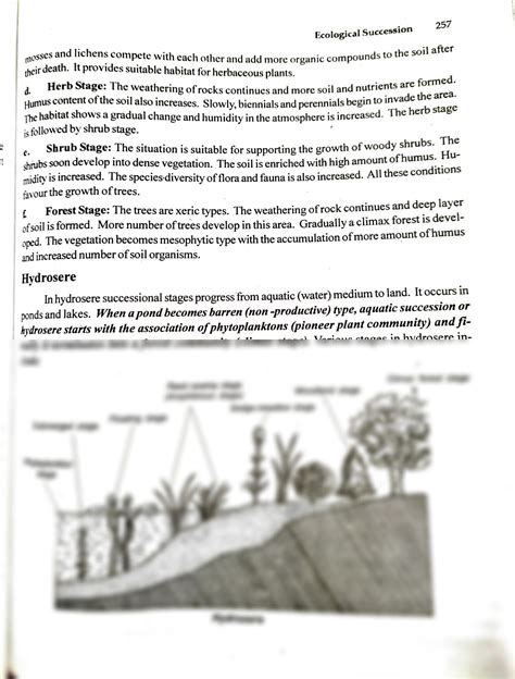 Solution Types Of Ecological Succession Studypool