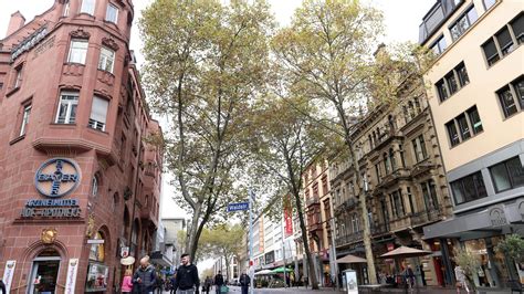 Protest Gegen Baumf Llungen In Der Karlsruher Kaiserstra E Geplant