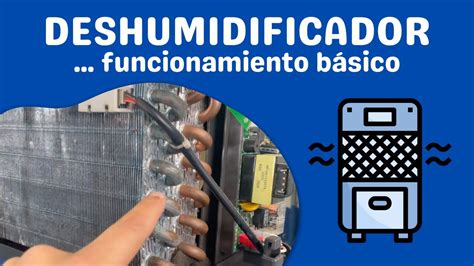 Deshumidificador C Mo Funciona Sencillo Y R Pido Youtube