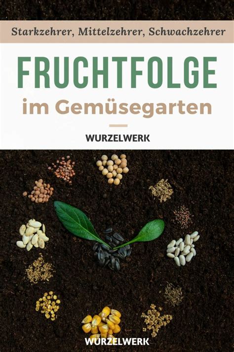 Fruchtfolge Im Gem Segarten Planen Wurzelwerk