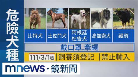 高雄郵差送信遭獒犬攻擊 左臂濺血送醫｜ 鏡新聞