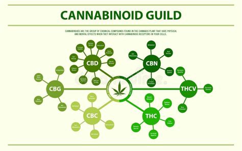 Cannabinoid Structure. Cannabidiol Molecular Structures, THC And CBD ...