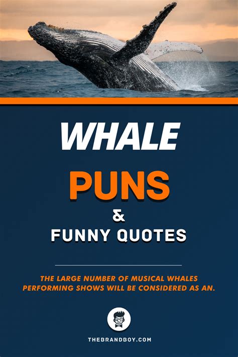 51 Best Whale Puns And Funny Quotes Whale Jokes Whale Funny Funny Puns