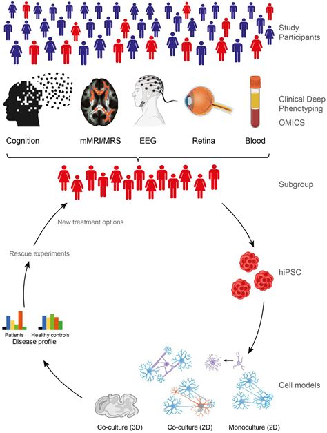 Frontiers The Multimodal Munich Clinical Deep Phenotyping Study To