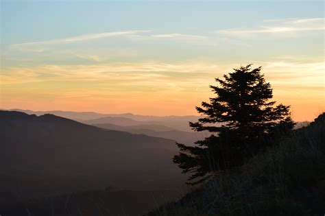 sunset from Mary's peak, oregon | Nature photos, Sunset, Nature