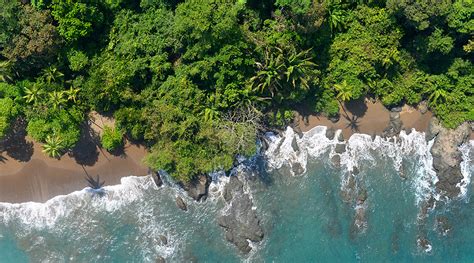 A wild and natural experience at Corcovado National Park