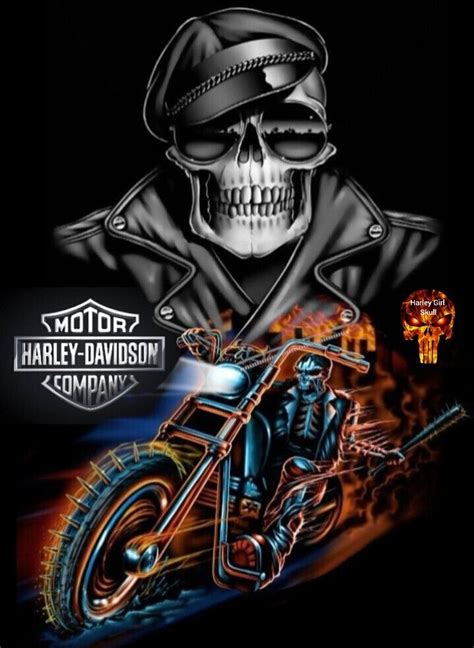 Pin By Floky On Design Harley Davidson Harley Davidson Artwork