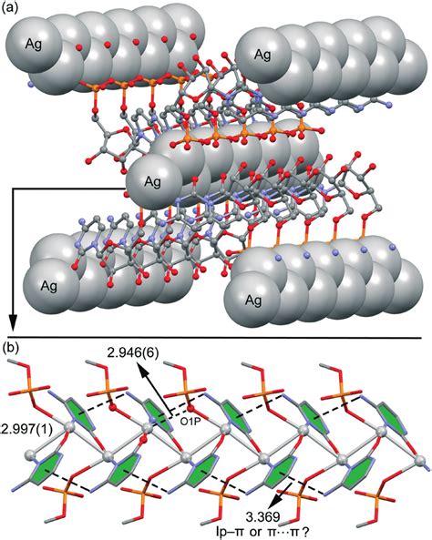 (a) Solid state 3D structure of compound 1. The Ag metal centers are ...