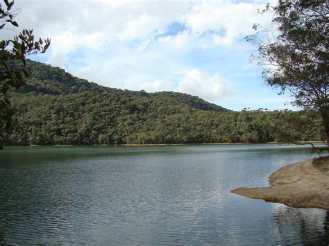 Minas Gerais Eh Fant Stica Parque Estadual Do Itacolomi Minas