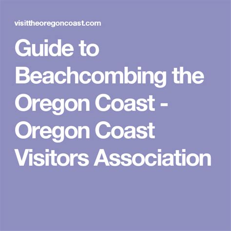 Guide To Beachcombing The Oregon Coast Oregon Coast Visitors