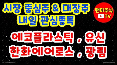 주식 대장주and 내일 관심종목에코플라스틱유신지에스이광림금양우원개발양지사흥구석유박셀바이오현대로템일승대명에너지