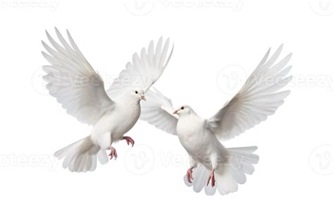 Two White Doves Are Flying Isolated On A Transparent Background