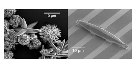 Getting A Charge Out Of Mofs Berkeley Lab News Center