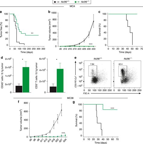 Nr F Mice Reject Transplantable Chemically And Induced Subcutaneous