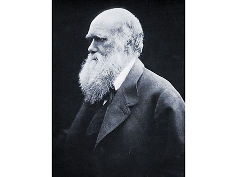 Charles Darwin Timeline Timetoast Timelines