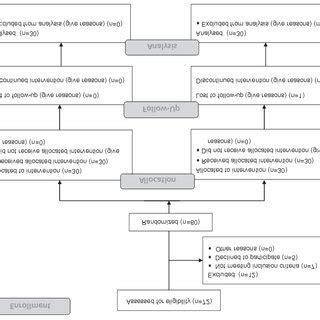 The Consort Flow Diagram Showing The Flow Of Participants Through Each