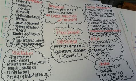 Preeclampsia Concept Map Ob Nursing Student Lvn Student Nursing