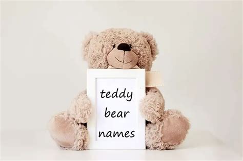 250+ Best Teddy Bear Names That All Kids Love