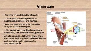 groin injuries in athletes | PPT