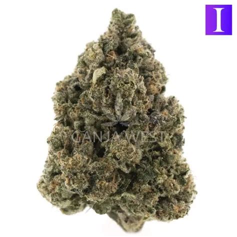 Gas Crack Craft Indica Ganja West Online Dispensary Shop In Canada