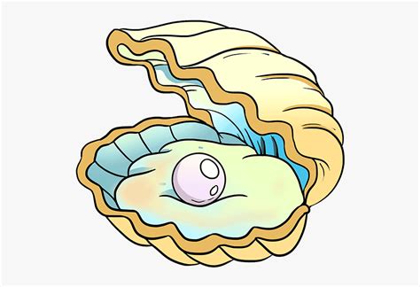 How To Draw Oyster With A Pearl Oyster With Pearl Drawing HD Png