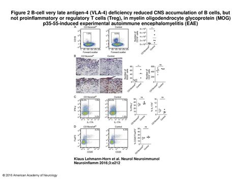 Figure B Cell Very Late Antigen Vla Deficiency Reduced Cns