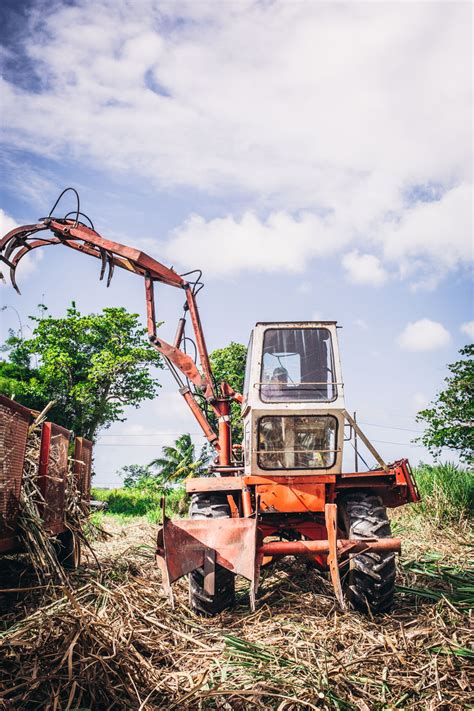 Artisanal Rum Distilleries Make Room for Themselves in Puerto Rico ...