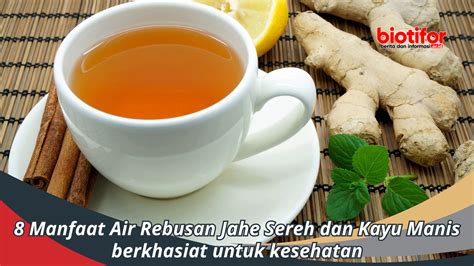 Manfaat Air Rebusan Jahe Sereh Dan Kayu Manis Biotifor