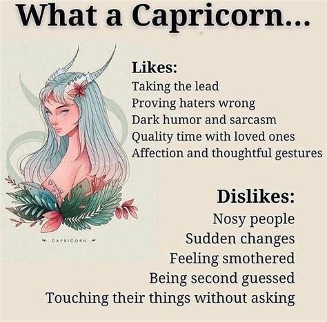 Capricorn Likes Dislikes Zodiac Capricorn Horoscope Capricorn