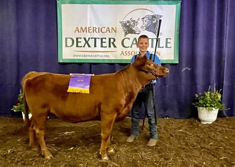 Expo Photos - American Dexter Cattle Association