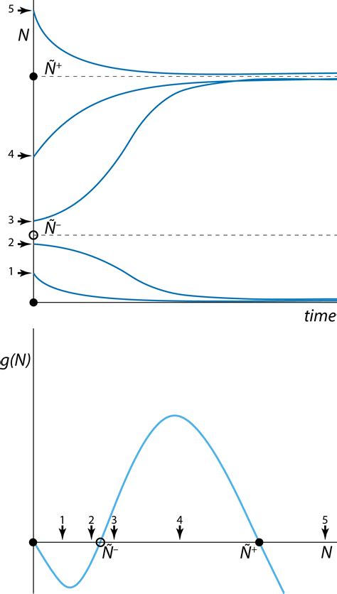 Chapter 2 Saddle Node Bifurcation In A Two Sexes Population Growth