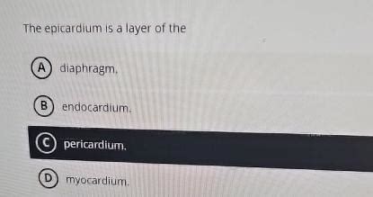 Solved The Epicardium Is A Layer Of Chegg