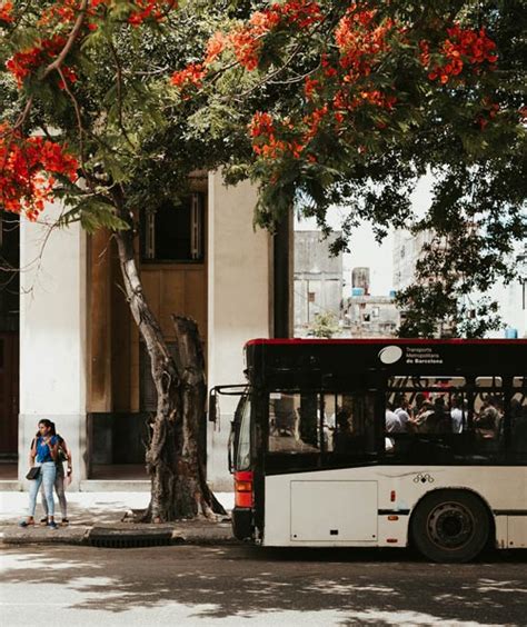 Diferencias Entre Autob S Y Autocar Duda Resuelta