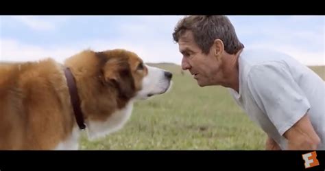 MUST WATCH FOR ALL DOG LOVERS: 'A Dog's Purpose' Trailer Is Here! - When In Manila