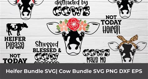 Heifer Bundle SVG Cow Bundle SVG PNG DXF EPS MasterBundles