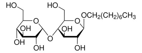 N dodecyl β d maltoside Sigma Aldrich