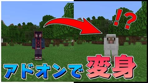 モブに変身できる最強アドオンを紹介！！【マイクラpebe】【アドオン紹介16】 マイクラ（minecraft）動画まとめ