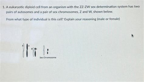 Solved 1 A Eukaryotic Diploid Cell From An Organism With