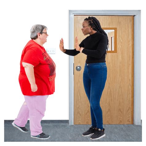 behaviour support plan deciding  support