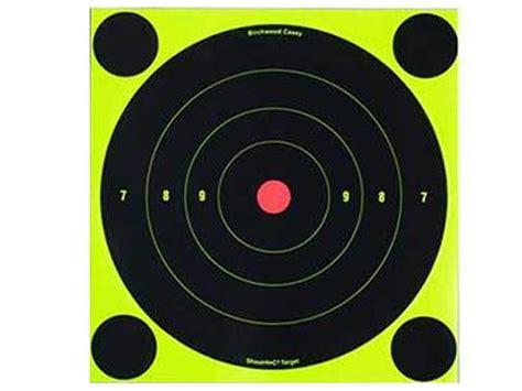 Birchwood Casey Shoot N C Targets 8 Bullseye 30 Targets 120